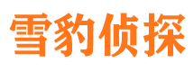 双台子市私家侦探公司